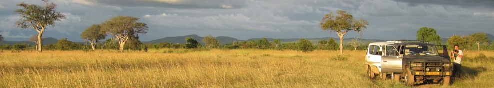 Mikumi National Park, Tanzania.