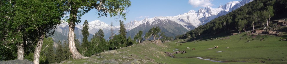 Himalayan pasture, Kashmir, India.