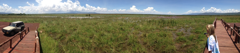 Lake Manyara National Park, Tanzania.